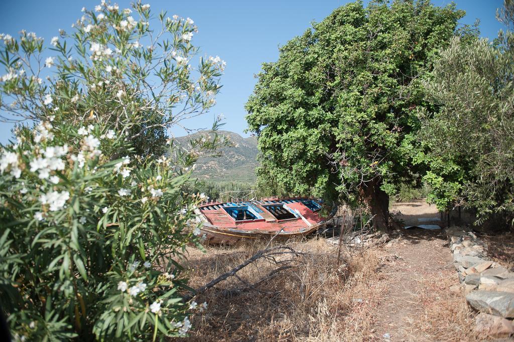 AmigdhalokeFálion Blue Pearl Villa מראה חיצוני תמונה